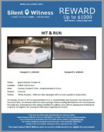 Hit & Run / Ignacia Medina / 5400 N. 43rd Avenue