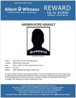 Aggravated Assault / Adult Male / 4700 W Indian School Road