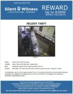 Felony Theft / Business owner / Area of Central & Bell Road