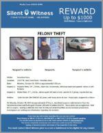 Theft / 2 male suspects / 21037 N. Cave Creek Road – Valvoline store