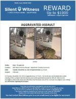 Aggravated Assault / Adult Male / 2602 W Glenrosa – Apt Courtyard