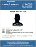 Aggravated Assault / Adult Male / 13400 N. 43rd Avenue – Apartment complex parking lot