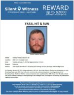 Fatal Hit & Run / Andrew Worley / 4600 East Broadway Road