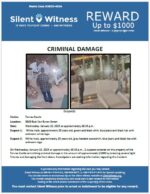 Criminal Damage /  Tovrea Castle / 5025 East Van Buren Street