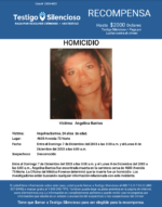 HOMICIDIO / Angelina Barrios / 4600 Avenida 73 Norte