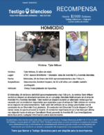 HOMICIDIO / Tyler Wilson / 6751 Sunset Blvd Norte – Glendale – área de Avenida 93 y Avenida Glendale