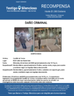 DAÑO CRIMINAL / Tovrea Castle / 5025 Calle Van Buren Este