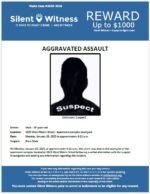 Aggravated Assault / 25 year old male / 2825 West Melvin Street