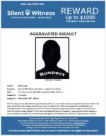 Aggravated Assault / Adult Male / Area of 28th Place and Virginia