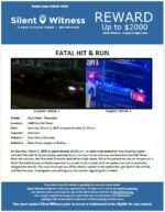 Fatal Hit & Run / Adult Male / 2400 East Bell Road