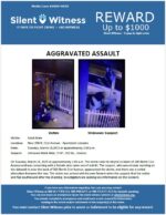 Aggravated Assault / Adult Male / Near 200 N. 21st Avenue – Apartment complex