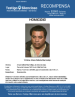 HOMICIDIO / Arturo Solorio-Marmolejo / Cerca del número 1600 de la Calle Oak Este