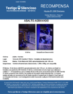 ASALTO AGRAVADO / Adulto – Hombre / Cerca de 200 Avenida 21 Norte – Complejo de departamentos.