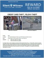 Credit Card Theft, Felony Theft / Male / 3301 East Bell Road and 4570 East Cactus Road