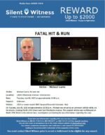 Fatal Hit and Run / Michael Garro / 2400 East Montecito Avenue – Intersection