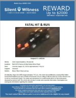 Fatal Hit and Run / Eden Cuautli Zacatelco / North 67th Avenue & West Indian School Road