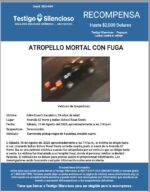 ATROPELLO MORTAL CON FUGA / Edén Cuautli Zacatelco / Avenida 67 Norte y Indian School Road Oeste