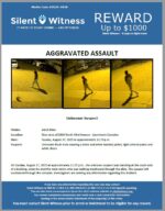 Aggravated Assault / Adult Male / Near area of 2600 North 43rd Avenue – Apartment Complex