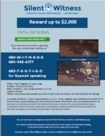 Fatal Hit & Run / Steven Flaggman / 700 West Polk Street