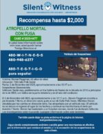 Atropello Mortal Con Fuga / Steven Flaggman / 700 Calle Polk Oeste