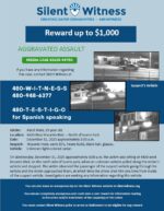 Aggravated Assault / Adule Male / 4400 West Encanto Blvd. – North of Sueno Park