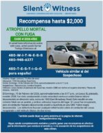 ATROPELLO MORTAL CON FUGA / Roger Jackson / 1900 Broadway Road Este.