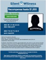 Asalto Agravado / Dos menores de edad / 1300 Avenida Cinnabar Este