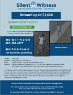 Aggravated Assault / Adult male / Near 4300 North 27th Avenue