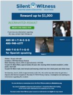 Aggravated Assault / Adult male / 2700 West Rovey Avenue